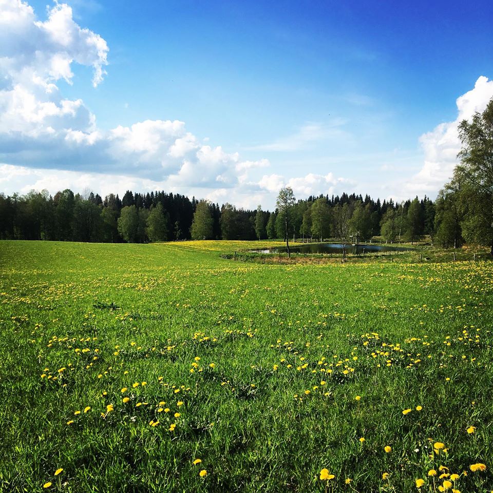 Backens gård äng